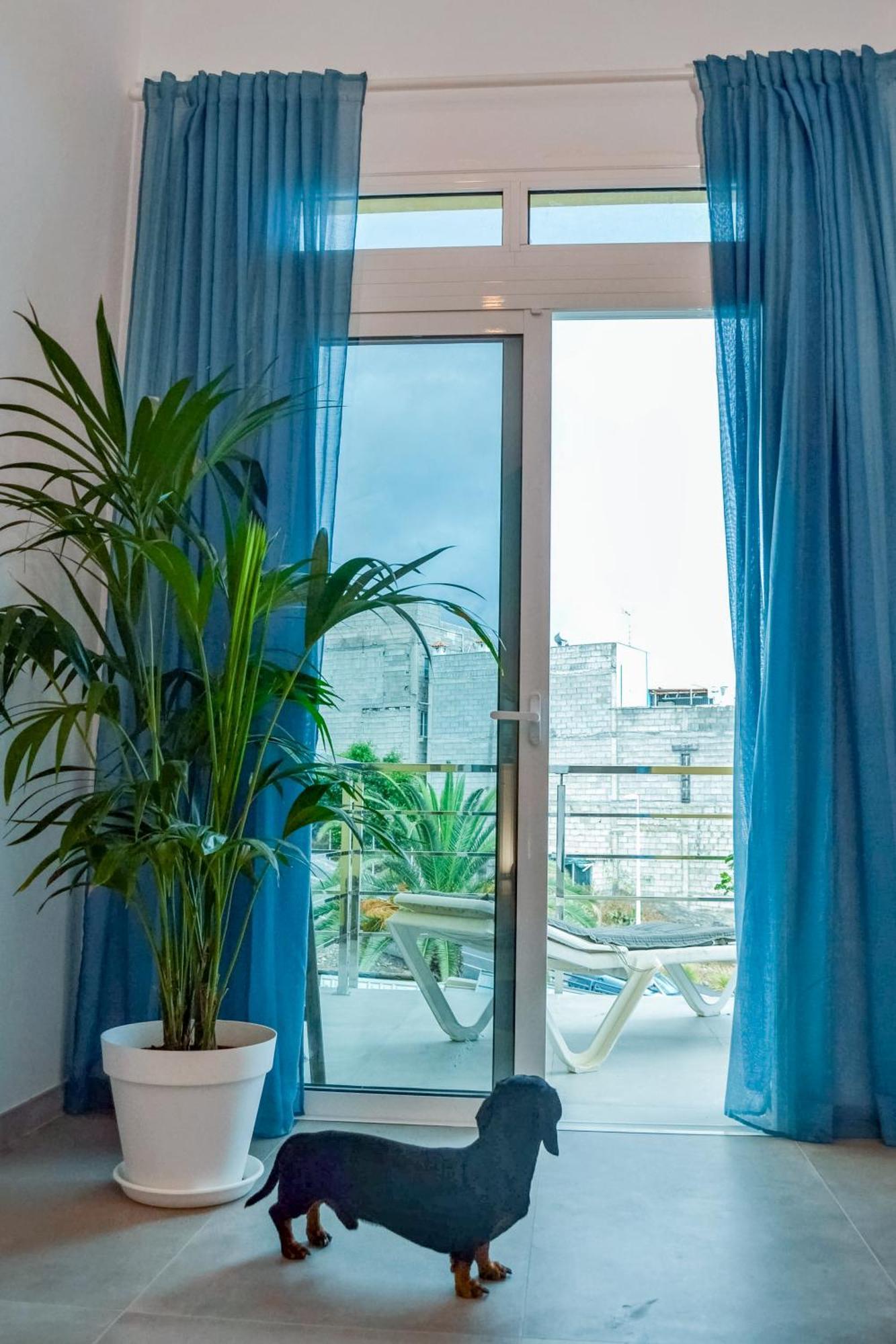 Casa Felipe V Appartement *